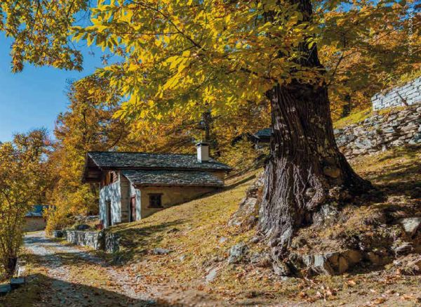 autunno